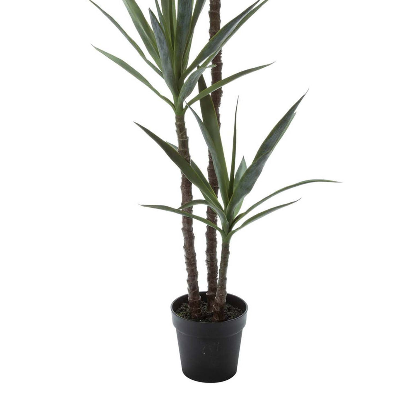フェイクグリーン 人工観葉植物 ユッカエレファンティペス H155cm 