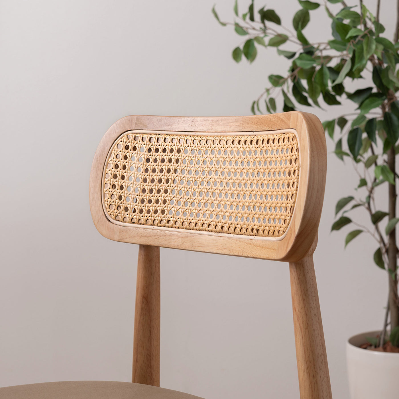 ダイニングチェア 木フレーム ファブリック / HOC-811