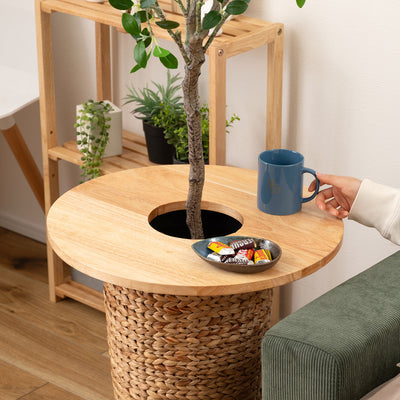 プランターテーブル 幅50cm / HOW-014