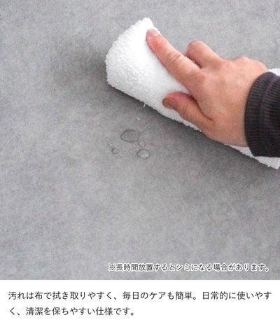 2人掛けソファ / SF005 開梱設置付き